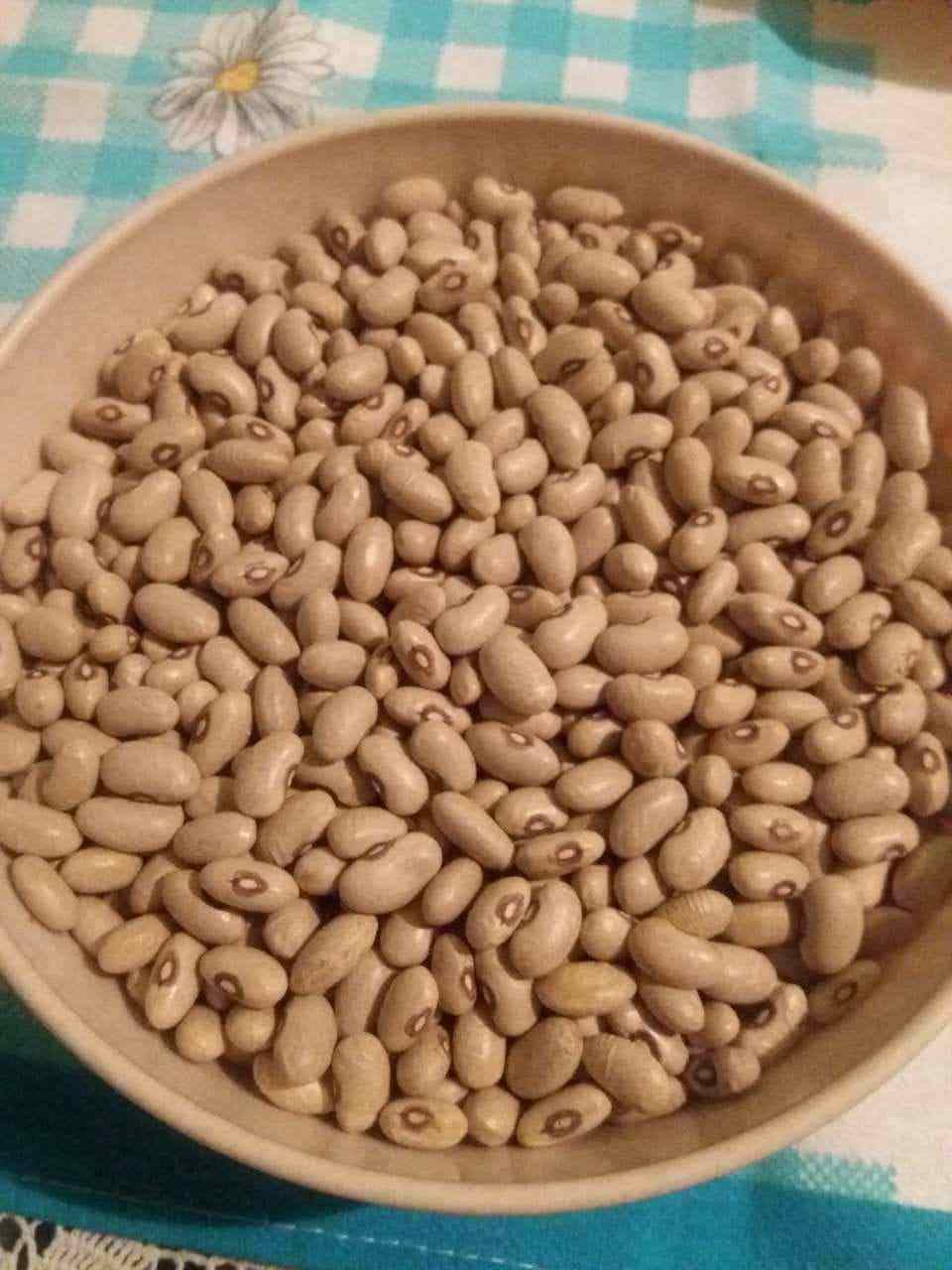 Zeleni pasulj sremac